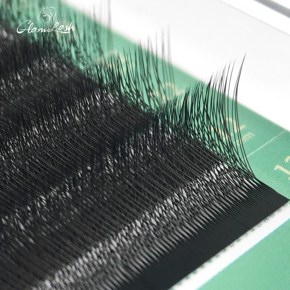 GLAMLASH 4D W Shape Eyelash Ex - Eyelash Extension Human Hair 리뷰 및 가격