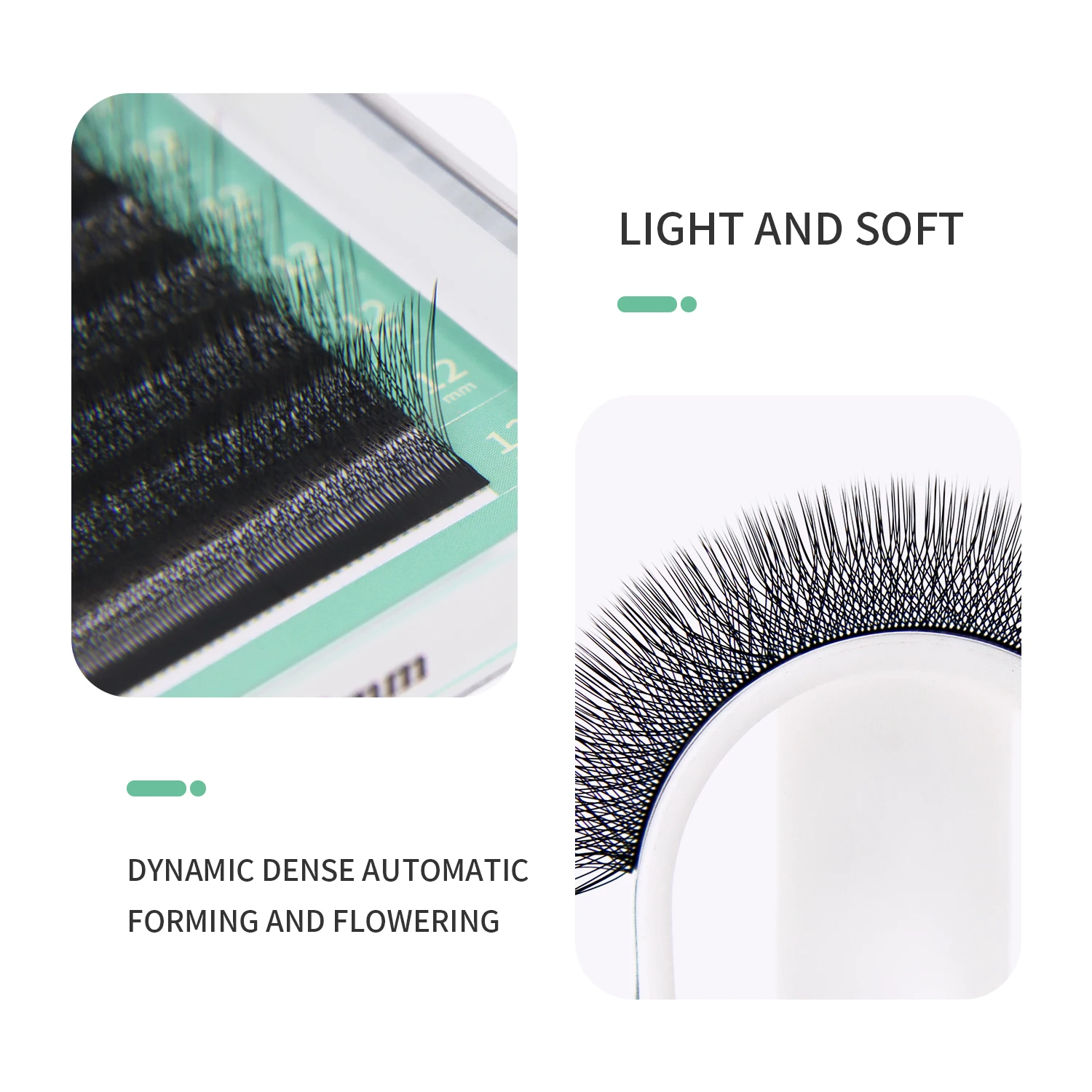 GLAMLASH 4D W Shape Eyelash Ex - Eyelash Extension Human Hair 리뷰 및 가격