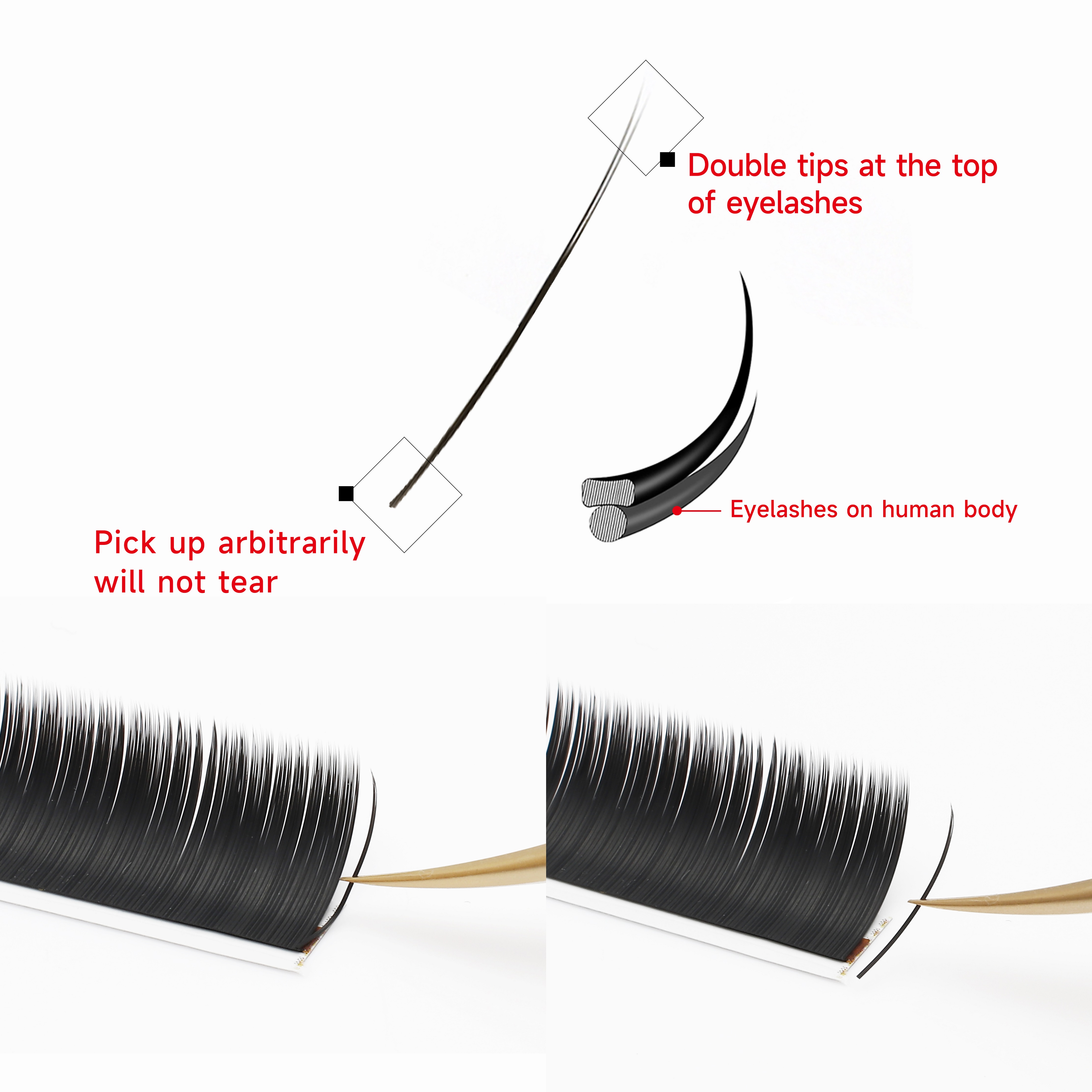XIUSUZAKI Flat Ellipse Eyelash - Eyelash Extension Human Hair 리뷰 및 가격