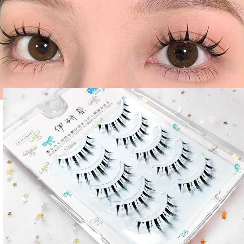 New Style 5Pairs Women Natural - Eyelash Extension Japanese Style 리뷰 및 가격